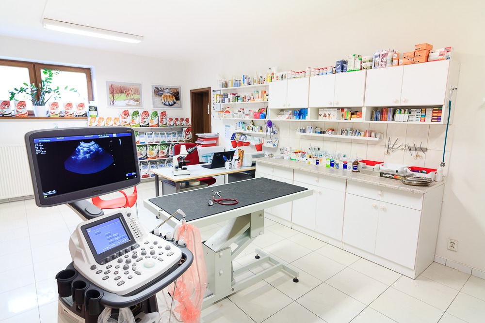 Prague Vet Clinic MetropoleVet Praha Animal clinic Veterinarians