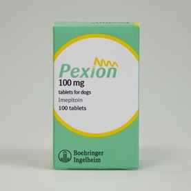 pexion