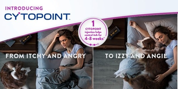 cytopoint 