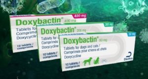 doxybactin